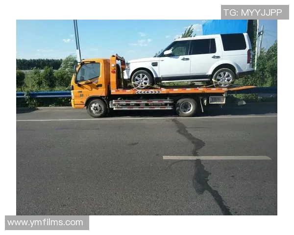 龙����������鞋：传���与现代的完美融合�